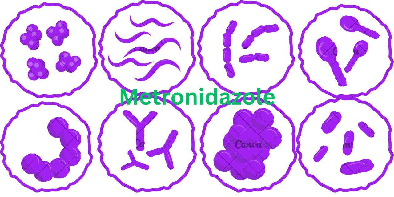 Metronidazole: A Key Player in Antibiotic Therapy