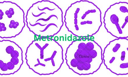 Metronidazole: A Key Player in Antibiotic Therapy